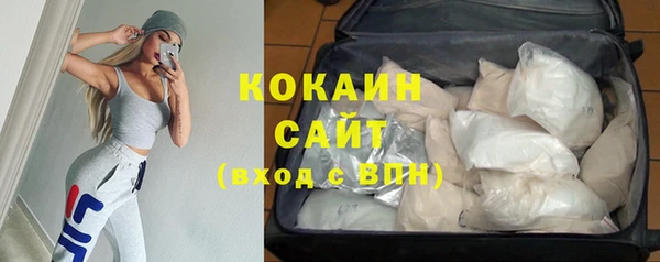 PSILOCYBIN Армянск