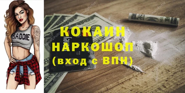 стафф Алексин