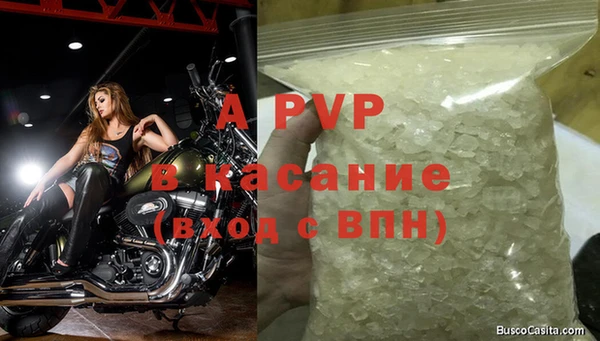 спайс Арсеньев