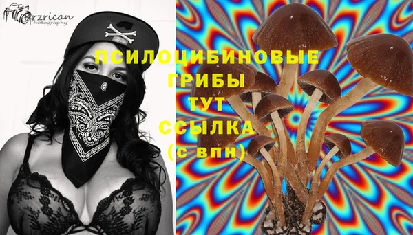 Альфа ПВП Алзамай