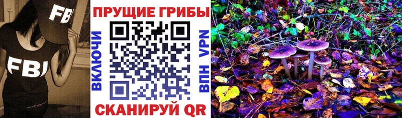 где продают   Дорогобуж  Галлюциногенные грибы прущие грибы 